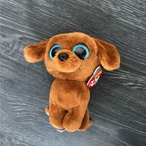 Ty Plush Dog Toy with Blue Eyes